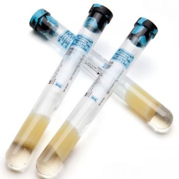 BD Vacutainer CPT Hücre Hazırlama Tüpü SS - 8 mL
